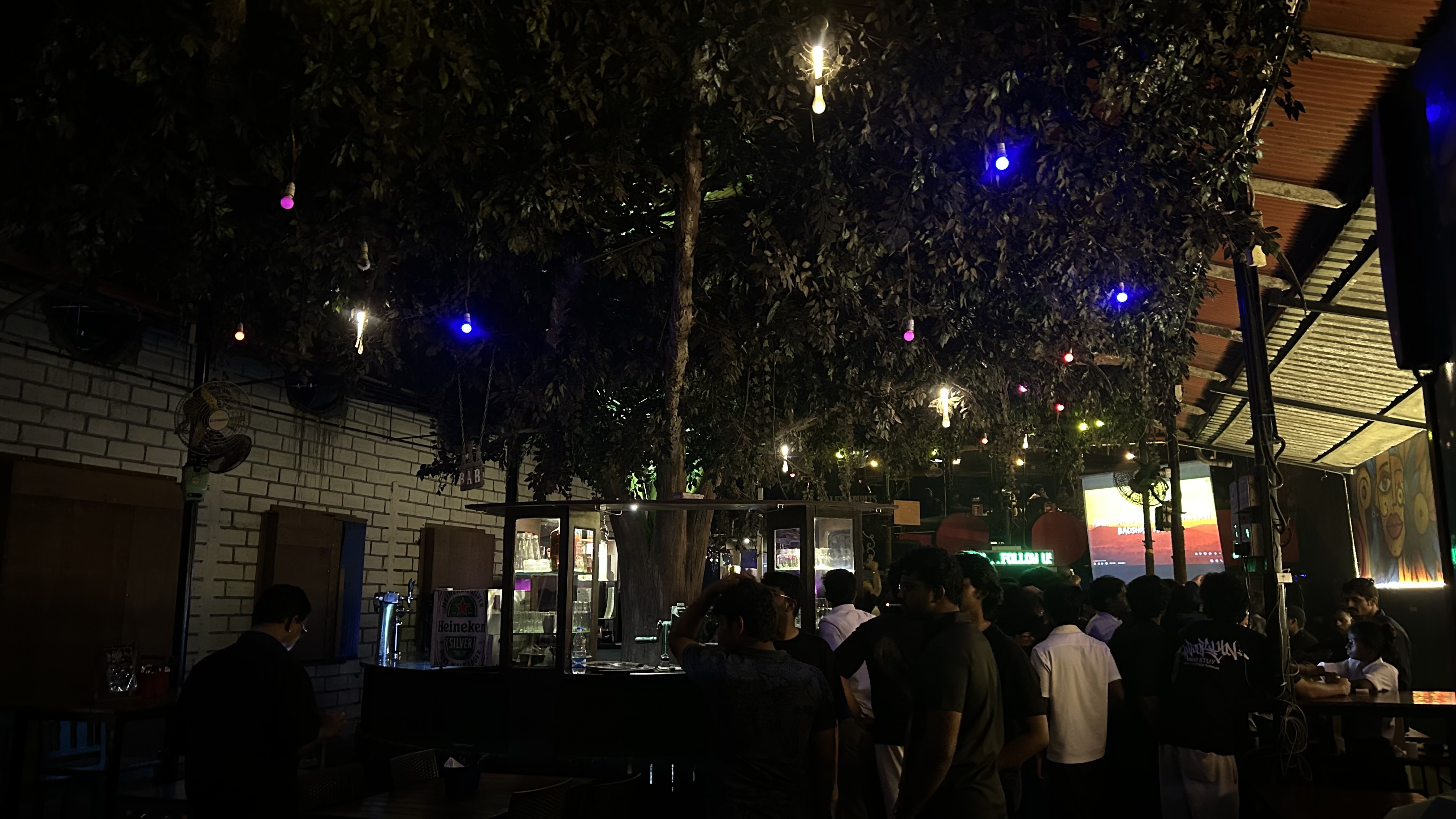 Hakuna Matata open-air restaurant under the tree at night